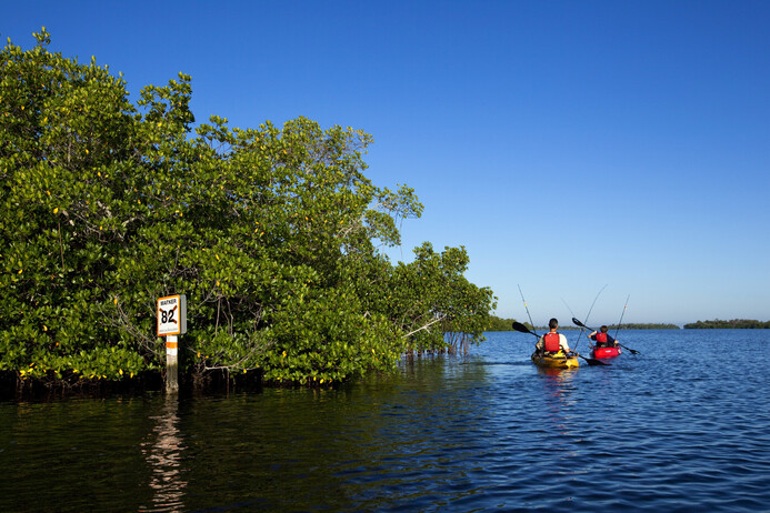 Wes3851wn 131471 Kayaking